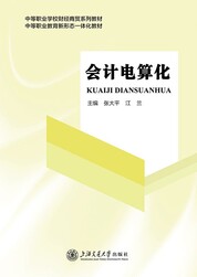 会计电算化